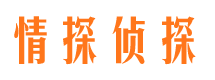 铁山港外遇调查取证